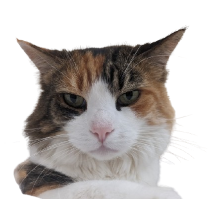 Not even Jasmine could find your page